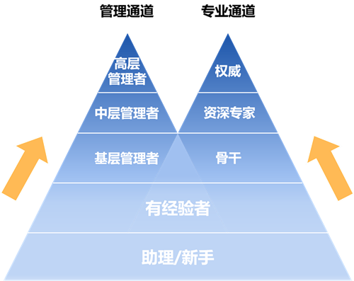 晉升雙通道發(fā)展機制_副本.png 晉升雙通道發(fā)展機制_副本.png